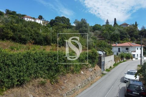 Helårsgrund i Baiao, Porto, Baiao - € 35.000 | Ref: AMTDR578/12937 - foto 25