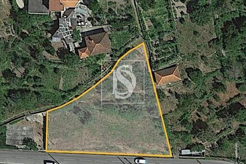 Helårsgrund i Baiao, Porto, Baiao - € 35.000 | Ref: AMTDR578/12937 - foto 31