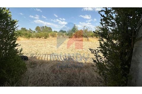 Villa a Caria, Castelo Branco, Caria - € 600.000 | Ref: 440056/25COV - foto 37