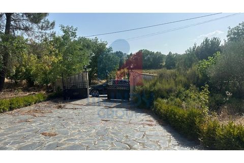 Villa a Caria, Castelo Branco, Caria - € 600.000 | Ref: 440056/25COV - foto 38