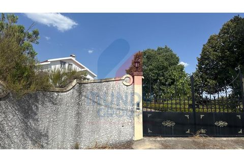 Villa a Caria, Castelo Branco, Caria - € 600.000 | Ref: 440056/25COV - foto 39