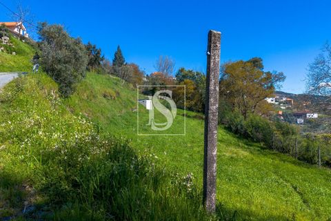 Helårsgrund i Baiao, Porto, Baiao - € 25.000 | Ref: DSAMTDR115/12937 - foto 3
