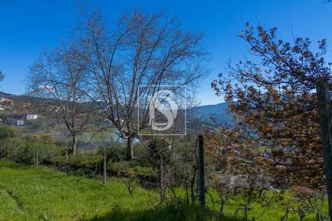 Helårsgrund i Baiao, Porto, Baiao - € 25.000 | Ref: DSAMTDR115/12937 - foto 4