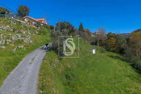 Helårsgrund i Baiao, Porto, Baiao - € 25.000 | Ref: DSAMTDR115/12937 - foto 5