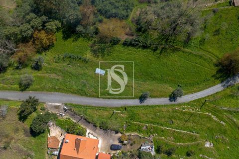 Helårsgrund i Baiao, Porto, Baiao - € 25.000 | Ref: DSAMTDR115/12937 - foto 6