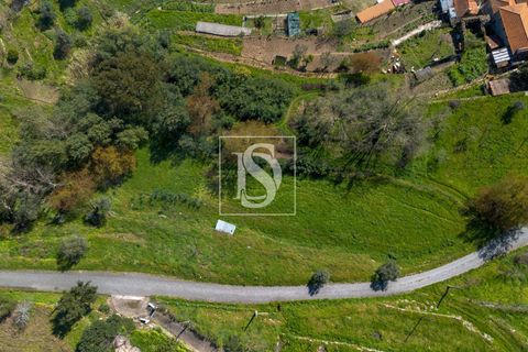Helårsgrund i Baiao, Porto, Baiao - € 25.000 | Ref: DSAMTDR115/12937 - foto 8