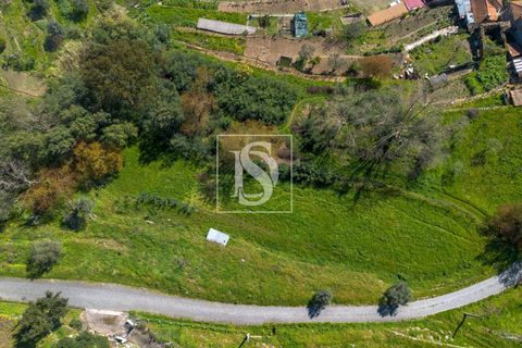Helårsgrund i Baiao, Porto, Baiao - € 25.000 | Ref: DSAMTDR115/12937 - foto 9