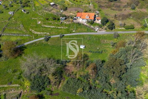 Helårsgrund i Baiao, Porto, Baiao - € 25.000 | Ref: DSAMTDR115/12937 - foto 11