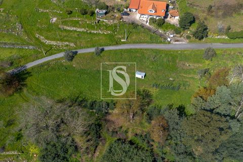 Helårsgrund i Baiao, Porto, Baiao - € 25.000 | Ref: DSAMTDR115/12937 - foto 12