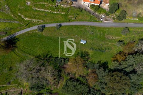 Helårsgrund i Baiao, Porto, Baiao - € 25.000 | Ref: DSAMTDR115/12937 - foto 13