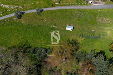 Helårsgrund i Baiao, Porto, Baiao - € 25.000 | Ref: DSAMTDR115/12937 - foto 14