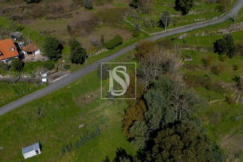 Helårsgrund i Baiao, Porto, Baiao - € 25.000 | Ref: DSAMTDR115/12937 - foto 15