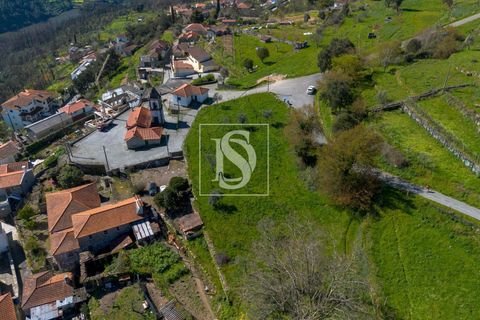 Helårsgrund i Baiao, Porto, Baiao - € 25.000 | Ref: DSAMTDR115/12937 - foto 16