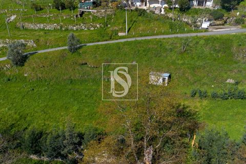 Helårsgrund i Baiao, Porto, Baiao - € 25.000 | Ref: DSAMTDR115/12937 - foto 17