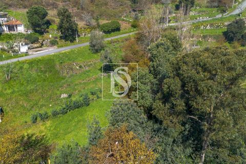 Helårsgrund i Baiao, Porto, Baiao - € 25.000 | Ref: DSAMTDR115/12937 - foto 18