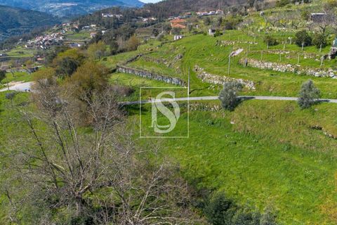 Helårsgrund i Baiao, Porto, Baiao - € 25.000 | Ref: DSAMTDR115/12937 - foto 19
