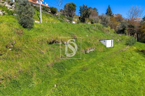 Helårsgrund i Baiao, Porto, Baiao - € 25.000 | Ref: DSAMTDR115/12937 - foto 20
