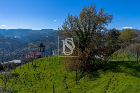 Helårsgrund i Baiao, Porto, Baiao - € 25.000 | Ref: DSAMTDR115/12937 - foto 21