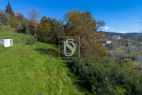 Helårsgrund i Baiao, Porto, Baiao - € 25.000 | Ref: DSAMTDR115/12937 - foto 22