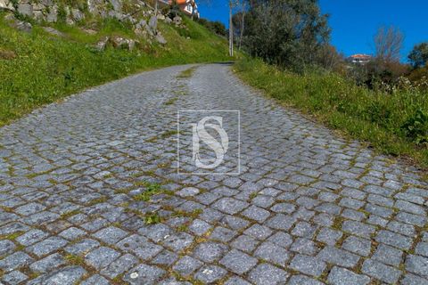 Helårsgrund i Baiao, Porto, Baiao - € 25.000 | Ref: DSAMTDR115/12937 - foto 23