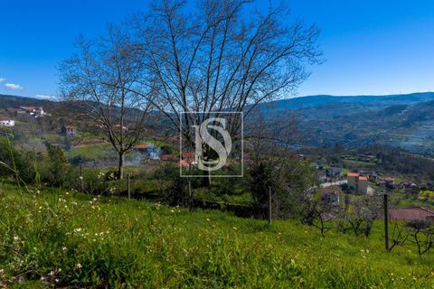 Helårsgrund i Baiao, Porto, Baiao - € 25.000 | Ref: DSAMTDR115/12937 - foto 24