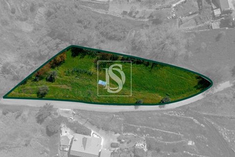 Helårsgrund i Baiao, Porto, Baiao - € 25.000 | Ref: DSAMTDR115/12937 - foto 26