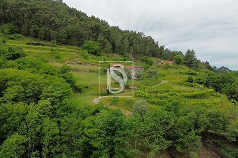Villa in Amarante, Porto, Amarante - € 89.900 | Ref: DSAMTDR4/12937 - foto 19