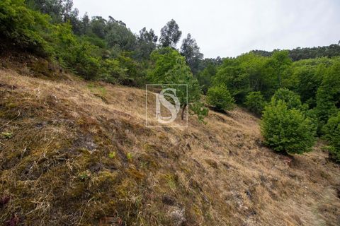 Villa in Amarante, Porto, Amarante - € 89.900 | Ref: DSAMTDR4/12937 - foto 28