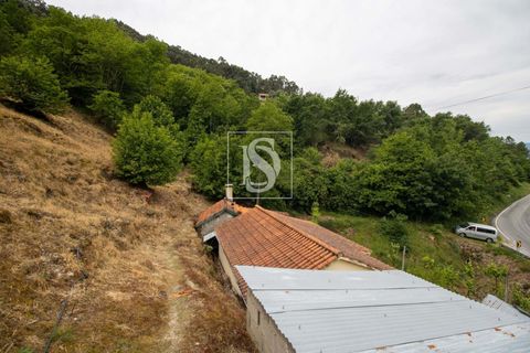 Villa in Amarante, Porto, Amarante - € 89.900 | Ref: DSAMTDR4/12937 - foto 29