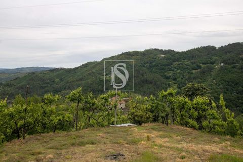 Villa in Amarante, Porto, Amarante - € 89.900 | Ref: DSAMTDR4/12937 - foto 31