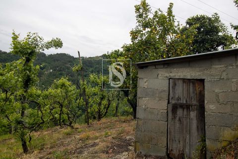 Villa in Amarante, Porto, Amarante - € 89.900 | Ref: DSAMTDR4/12937 - foto 32