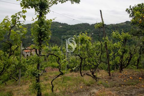 Villa in Amarante, Porto, Amarante - € 89.900 | Ref: DSAMTDR4/12937 - foto 33