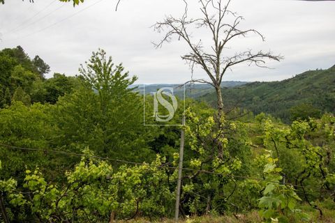 Villa in Amarante, Porto, Amarante - € 89.900 | Ref: DSAMTDR4/12937 - foto 34
