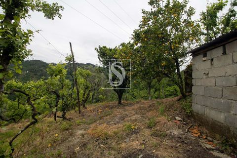 Villa in Amarante, Porto, Amarante - € 89.900 | Ref: DSAMTDR4/12937 - foto 35