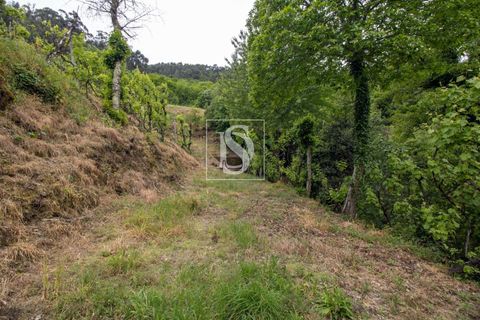 Villa in Amarante, Porto, Amarante - € 89.900 | Ref: DSAMTDR4/12937 - foto 36