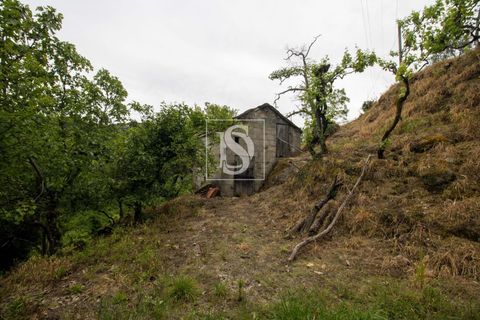 Villa in Amarante, Porto, Amarante - € 89.900 | Ref: DSAMTDR4/12937 - foto 37