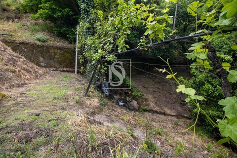 Villa in Amarante, Porto, Amarante - € 89.900 | Ref: DSAMTDR4/12937 - foto 38