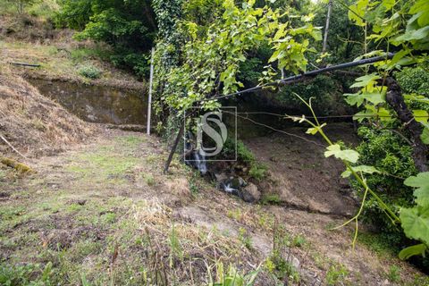 Villa in Amarante, Porto, Amarante - € 89.900 | Ref: DSAMTDR4/12937 - foto 39