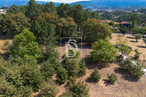 Helårsgrund i Amarante, Porto, Amarante - € 49.500 | Ref: DSAMTAMTAG4/12937 - foto 7