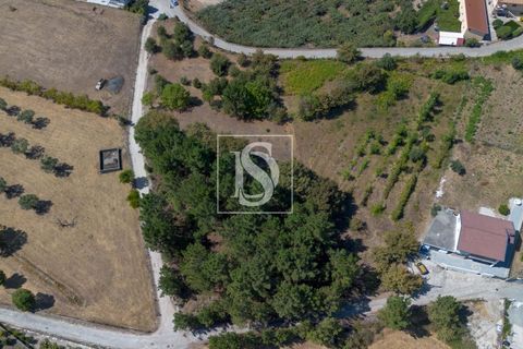 Helårsgrund i Amarante, Porto, Amarante - € 49.500 | Ref: DSAMTAMTAG4/12937 - foto 8