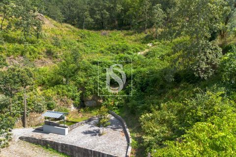 Helårsgrund i Amarante, Porto, Amarante - € 46.500 | Ref: DSAMTJD9/12937 - foto 4