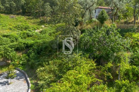 Helårsgrund i Amarante, Porto, Amarante - € 46.500 | Ref: DSAMTJD9/12937 - foto 6