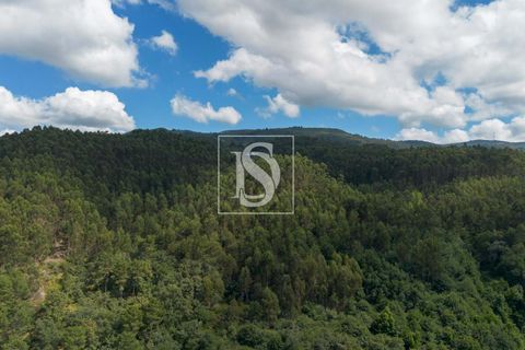Helårsgrund i Amarante, Porto, Amarante - € 46.500 | Ref: DSAMTJD9/12937 - foto 14