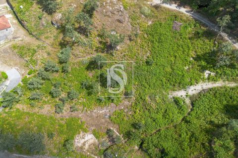 Helårsgrund i Amarante, Porto, Amarante - € 46.500 | Ref: DSAMTJD9/12937 - foto 16