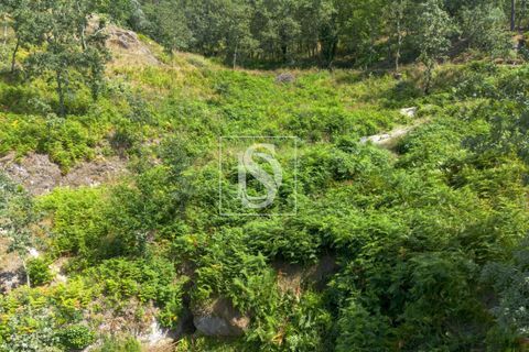 Helårsgrund i Amarante, Porto, Amarante - € 46.500 | Ref: DSAMTJD9/12937 - foto 19
