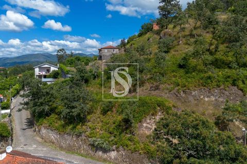Helårsgrund i Amarante, Porto, Amarante - € 46.500 | Ref: DSAMTJD9/12937 - foto 20