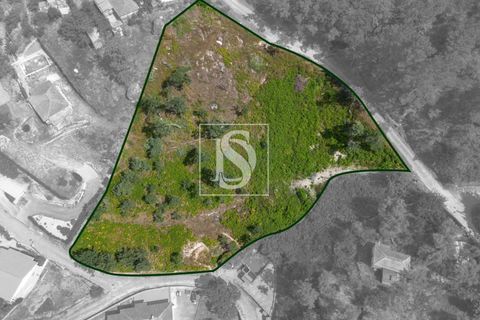 Helårsgrund i Amarante, Porto, Amarante - € 46.500 | Ref: DSAMTJD9/12937 - foto 22