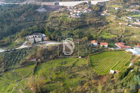 Helårsgrund i Amarante, Porto, Amarante - € 65.000 | Ref: DSAMTCR84/12937 - foto 7