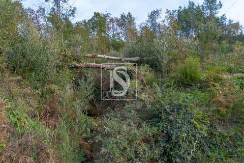 Helårsgrund i Amarante, Porto, Amarante - € 65.000 | Ref: DSAMTCR84/12937 - foto 8