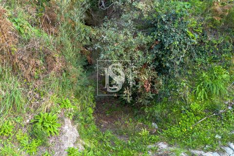 Helårsgrund i Amarante, Porto, Amarante - € 65.000 | Ref: DSAMTCR84/12937 - foto 9